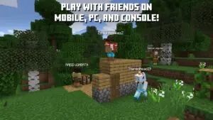 minecraft switch screenshot05