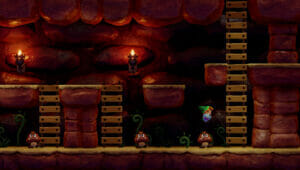 The Legend of Zelda Links Awakening Screenshot 5 Ecran Partage